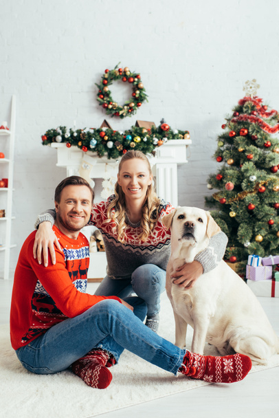 ευτυχισμένο ζευγάρι σε πλεκτά πουλόβερ κάθεται κοντά στο λαμπραντόρ σε διακοσμημένο διαμέρισμα τα Χριστούγεννα  - Φωτογραφία, εικόνα