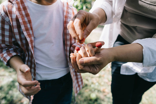 Máma láskyplně dává maliny na prsty svého syna jako náprstky v rodinné zahradě - Fotografie, Obrázek