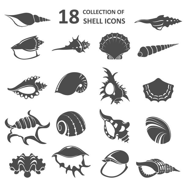 Collection of shell icons - Vector, Imagen