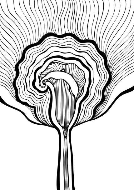 Декоративний фон з абстрактною квіткою Калья чорно-біла в лінійному мистецтві Дзен тангл або дзен каракулі стиль для розмальовки сторінки або розмальовки книги або для упаковки або прикраси різних речей
  - Вектор, зображення