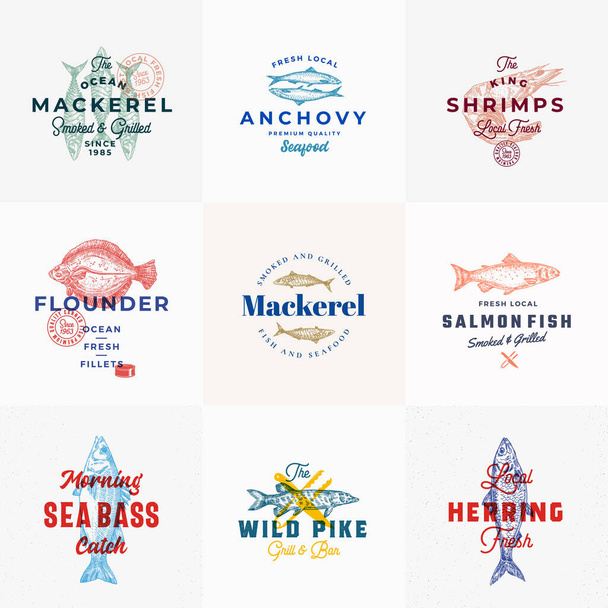 Premium Seafood Vector Signs o Logo Templates Set. Bocetos de pescado vintage dibujados a mano con tipografía elegante, atún, caballa, salmón, camarones, arenque, etc. Restaurante retro y emblemas de mariscos. - Vector, imagen