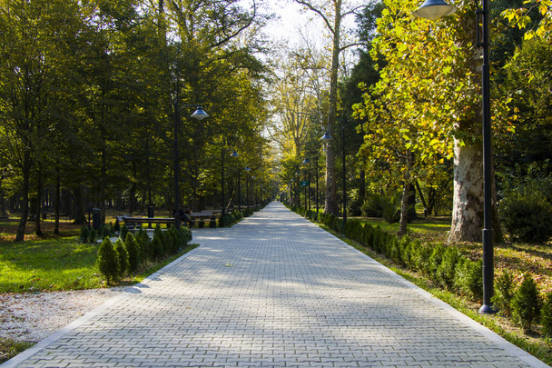 Garden and park, Zugdidi Botanic garden in Georgia. - Foto, imagen