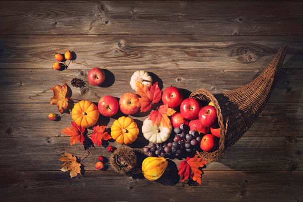 Thanksgiving cornucopia filled with pumpkins, apples, grapes and leaves on a rustic wooden background  - Фото, изображение