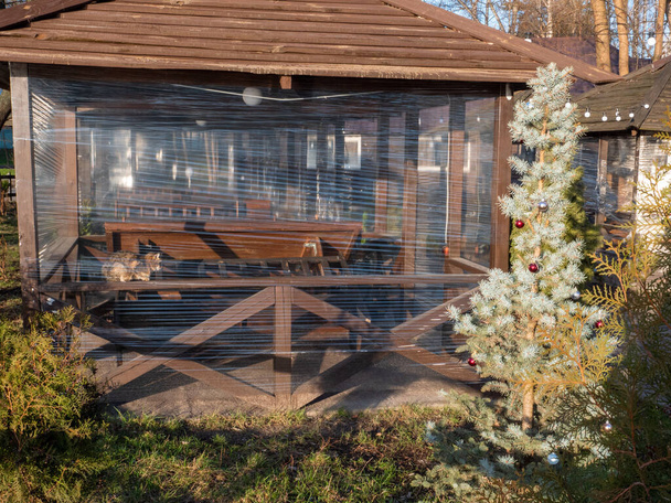 Μη pedigree tabby καφέ γάτα κάθεται μέσα σε ένα ξύλινο σπίτι το καλοκαίρι, κλειστό για το χειμώνα. Fir δέντρο διακοσμημένα με μπάλες Χριστούγεννα αυξάνεται δίπλα. - Φωτογραφία, εικόνα