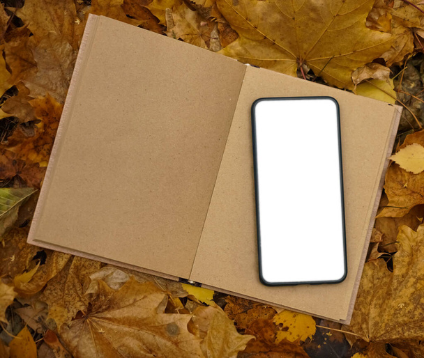 empty screen of smartphone. mobile phone lie on opened book . mock up. autumn season - Фото, зображення