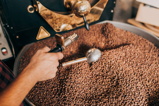 Руки мужчины держат свежеобжаренные ароматические кофейные зерна над современной кофеваркой. - Фото, изображение