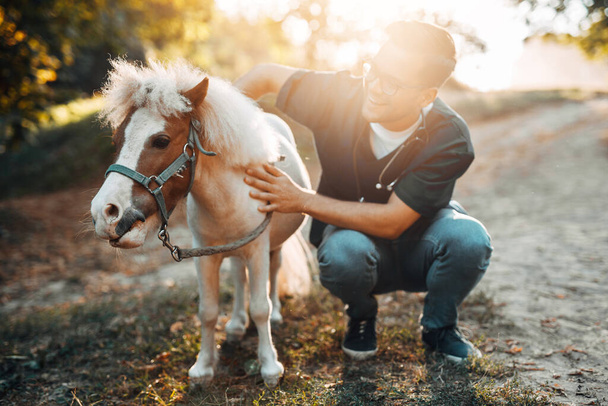 Giovane attraente veterinario maschio godendo con adorabile piccolo cavallo pony.  - Foto, immagini