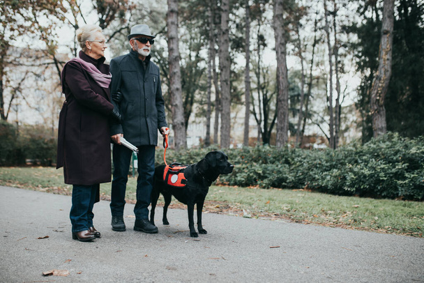 Rijpe blinde man met een lange witte wandelstok in het park met zijn vrouw en geleidehond.  - Foto, afbeelding