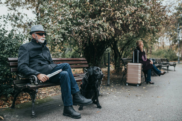 Зрелый слепой мужчина с длинной белой тростью наслаждается в парке со своей собакой-поводырем. - Фото, изображение