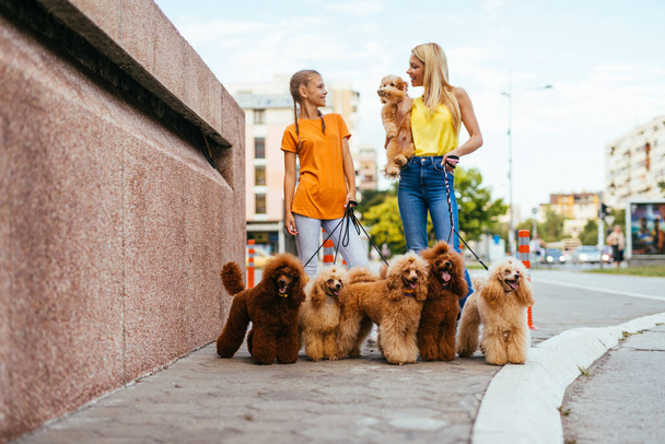 Mother and daughter enjoying in walk together with their poodles in city street. - Photo, Image