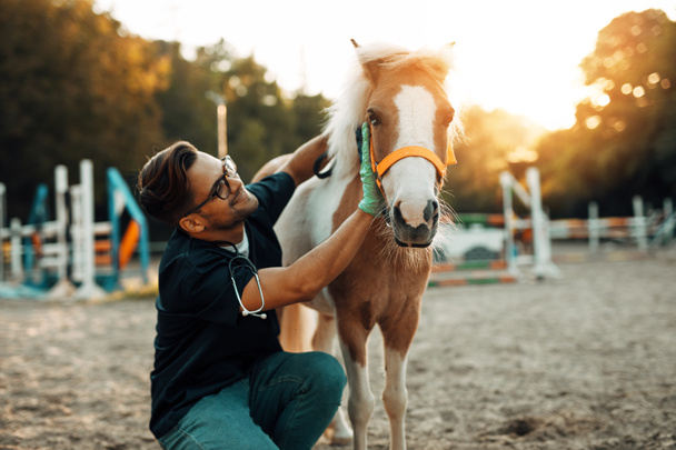 Mladý atraktivní muž veterinář těší s rozkošný malý poník kůň.  - Fotografie, Obrázek