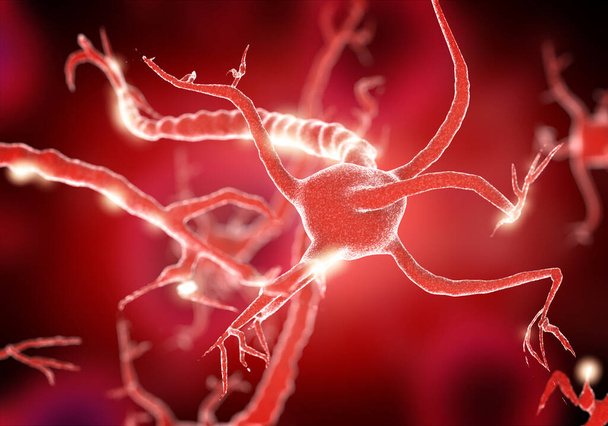 Células nerviosas activas, ilustración 3D - Foto, imagen