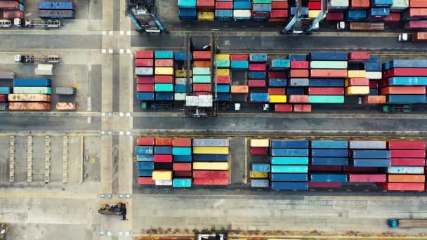 contentores de carga empilhados em fileiras dentro de um porto marítimo - Filmagem, Vídeo