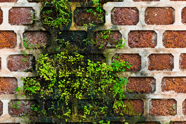 Old brick wall - Fotoğraf, Görsel