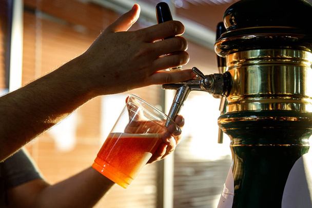 Plastik bardağa bira doldurmak. Gün batımı - Fotoğraf, Görsel