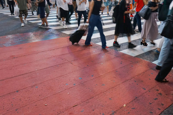 横断歩道を歩く人々 - 写真・画像
