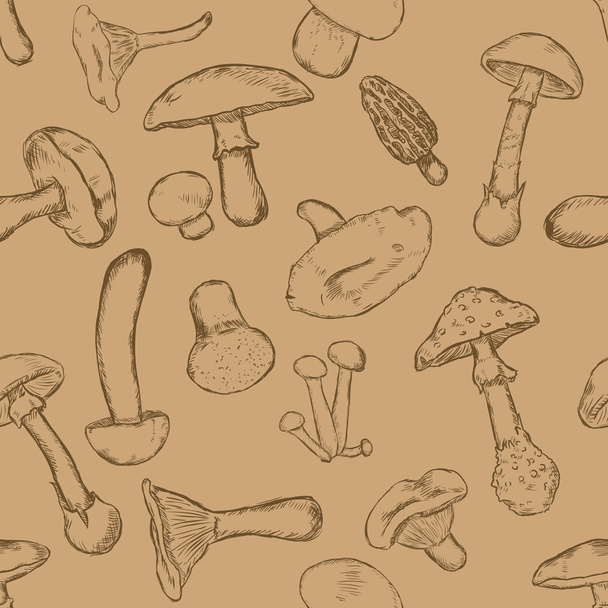 Vector Seamless Pattern of Sketch Mushrooms - Vektori, kuva