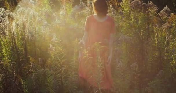 Φυσικό κορίτσι που θέτουν σε εξωτερικούς χώρους σε κίτρινο ξηρό πεδίο ανάβει με τη ρύθμιση του ήλιου. Νεαρή χίπισσα περνάει ελεύθερο χρόνο στη φύση λουλούδια φόντο αργή κίνηση. Γυναικεία ρούχα σχεδιαστών μόδας ομορφιάς - Πλάνα, βίντεο