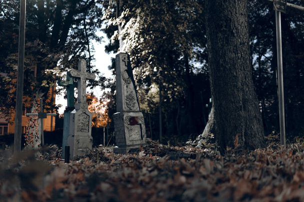 Antigua ruina de lápidas en bosque autmn, cementerio por la noche, noche, luz de la luna, enfoque selectivo, halloween concepto de diseño backgrond - Foto, Imagen