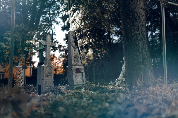 Vieilles pierres tombales ruine dans la forêt autmn, cimetière le soir, nuit, lumière de lune, mise au point sélective, conception halloween backgrond, brouillard, tonification bleue - Photo, image
