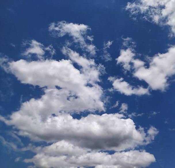 Cielo azul adornado de nubes - Fotografie, Obrázek