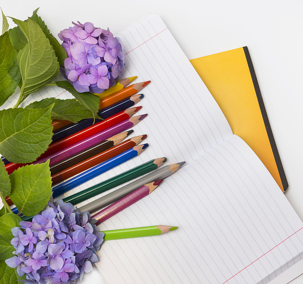  Flores hortensias y materias escolares
. - Foto, imagen