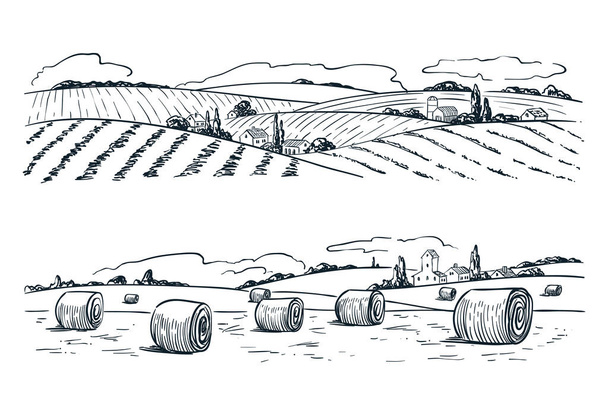 Boerderij velden landschap, vector schets illustratie. Landbouw en oogsten vintage achtergrond. Landelijk natuurbeeld. - Vector, afbeelding