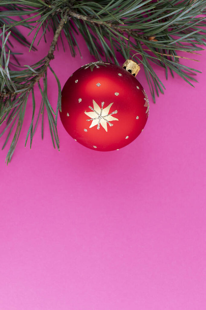 Kerstboom tak met rode decoratie op roze achtergrond. Bovenaanzicht, vlak lay. - Foto, afbeelding
