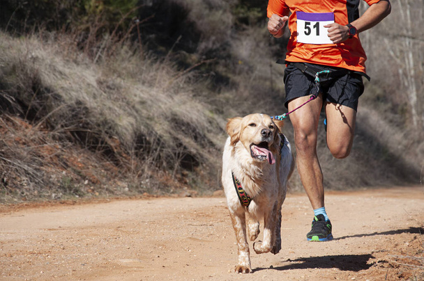 犬と男が人気のあるレースに参加 - 写真・画像