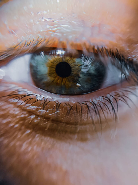 Güzel bir mavi insan gözünün makro görüntüsü. - Fotoğraf, Görsel