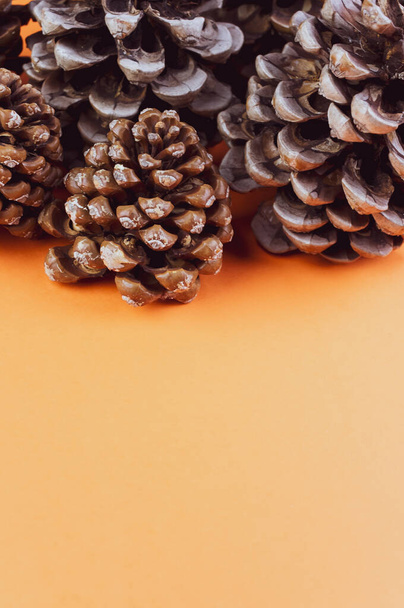 A vertical shot of assorted decorative pine cones on an orange surface - Photo, Image