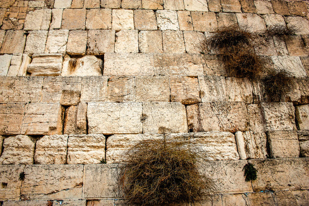 Close-up do Muro Ocidental, Muro das Lamentações, muitas vezes encurtado para O Kotel é o local mais religioso do mundo para o povo judeu, localizado na Cidade Velha de Jerusalém - Foto, Imagem