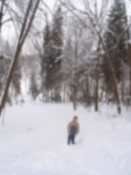 Keskittynyt valokuvaus. Talvimetsän hämärtynyt tausta, lumen peittämät puut, kopiotila - Valokuva, kuva