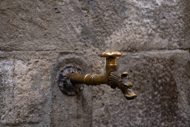 Roman water tap with a wolf on the tip, recessed on a stone wall - Photo, image
