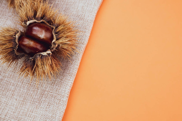 A closeup shot of sweet chestnuts in a shell on orange background - Foto, Imagem