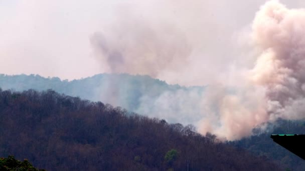 Grandes incêndios florestais e fumaça em florestas de montanha durante a seca. Desflorestação e crise climática. Névoa tóxica dos incêndios florestais. - Filmagem, Vídeo