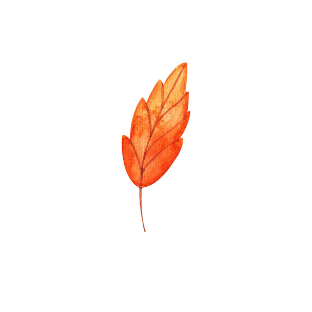 Acquerello foglia d'autunno. Foglie di consistenza arancione rosso autunno - Foto, immagini