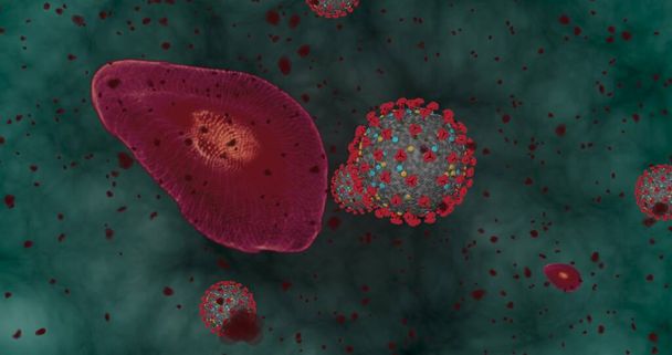 Korkeuspitoisuus Coronavirus tauti Covid-19. Animaatioryhmä viruksia ja punasoluja mikroskoopin alla. 3D-mallinnus 3D-kuvitus - Valokuva, kuva