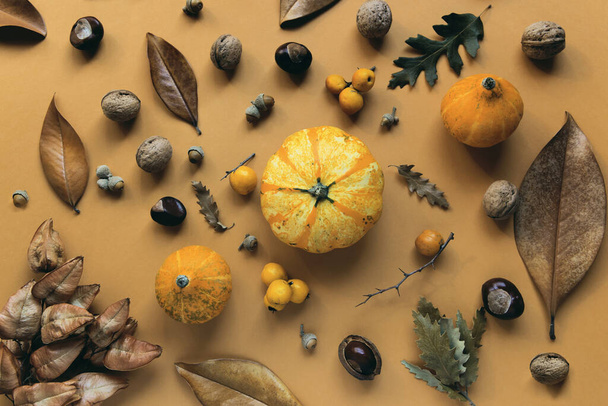 Autumn creative composition made of pumpkins, dried leaves, chestnuts and acorns. Autumn, fall, halloween concept. Flat lay, top view. - Фото, зображення