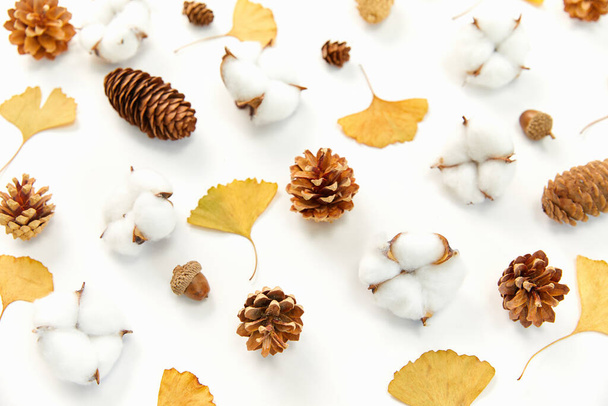 A closeup shot of autumn leaves and conifer cones, cotton plants on white background - Foto, afbeelding
