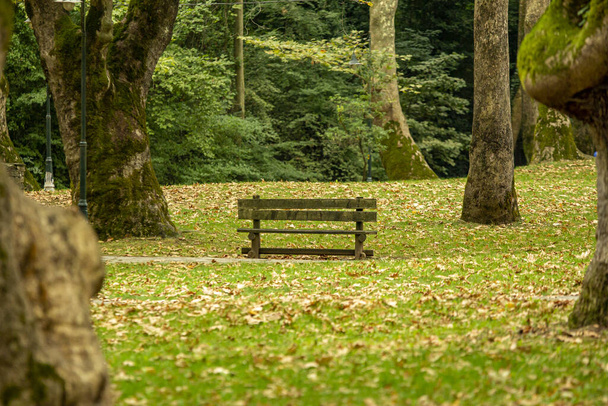 A bench in a park with trees in the city of Naoussa in Greece - Fotografie, Obrázek