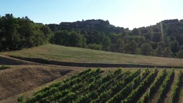 Roussillon λόφο κορυφή διάσημο χωριό Vaucluse Γαλλία εναέρια θέα από το δάσος αμπελώνων - Πλάνα, βίντεο