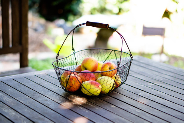 Csak őszi almát szüreteltem a fémkosárban a fa asztalnál a kertben. - Fotó, kép