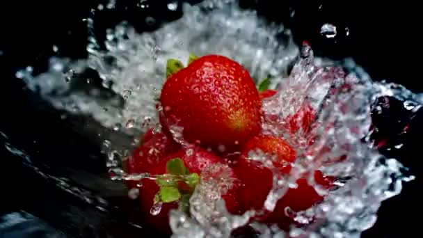 Jahodové ovoce vytváří krásné splash s tekoucí vodou izolované na černé - Záběry, video