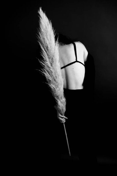 Black and white dramatic portrait of  young girl, body details, fashion and art.beautiful naked female back - 写真・画像