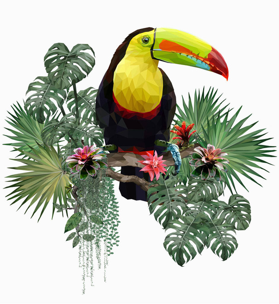 Illustration polygonale Oiseaux toucans et plantes forestières amazoniennes. - Vecteur, image