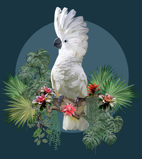 Polygonale Illustratie van Paraplu Cockatoo en Amazone planten. - Vector, afbeelding