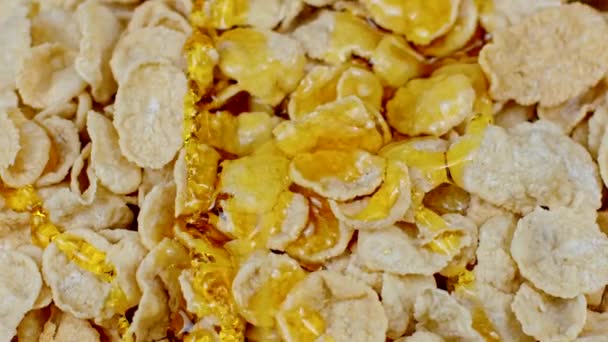 miel fluye en copos de maíz cereales desayuno de cerca. Productos de inmunidad natural - Metraje, vídeo