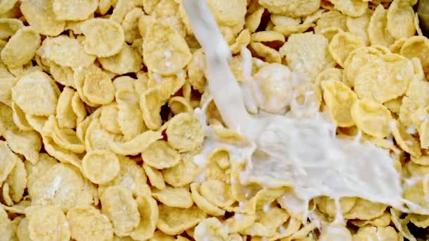 La leche se vierte en un bol de hojuelas de maíz lento mo, la leche que cae en el desayuno de cereales - Metraje, vídeo