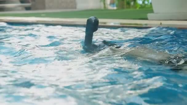Taucher üben Schnorcheln unter Wasser im Schwimmbad - Filmmaterial, Video